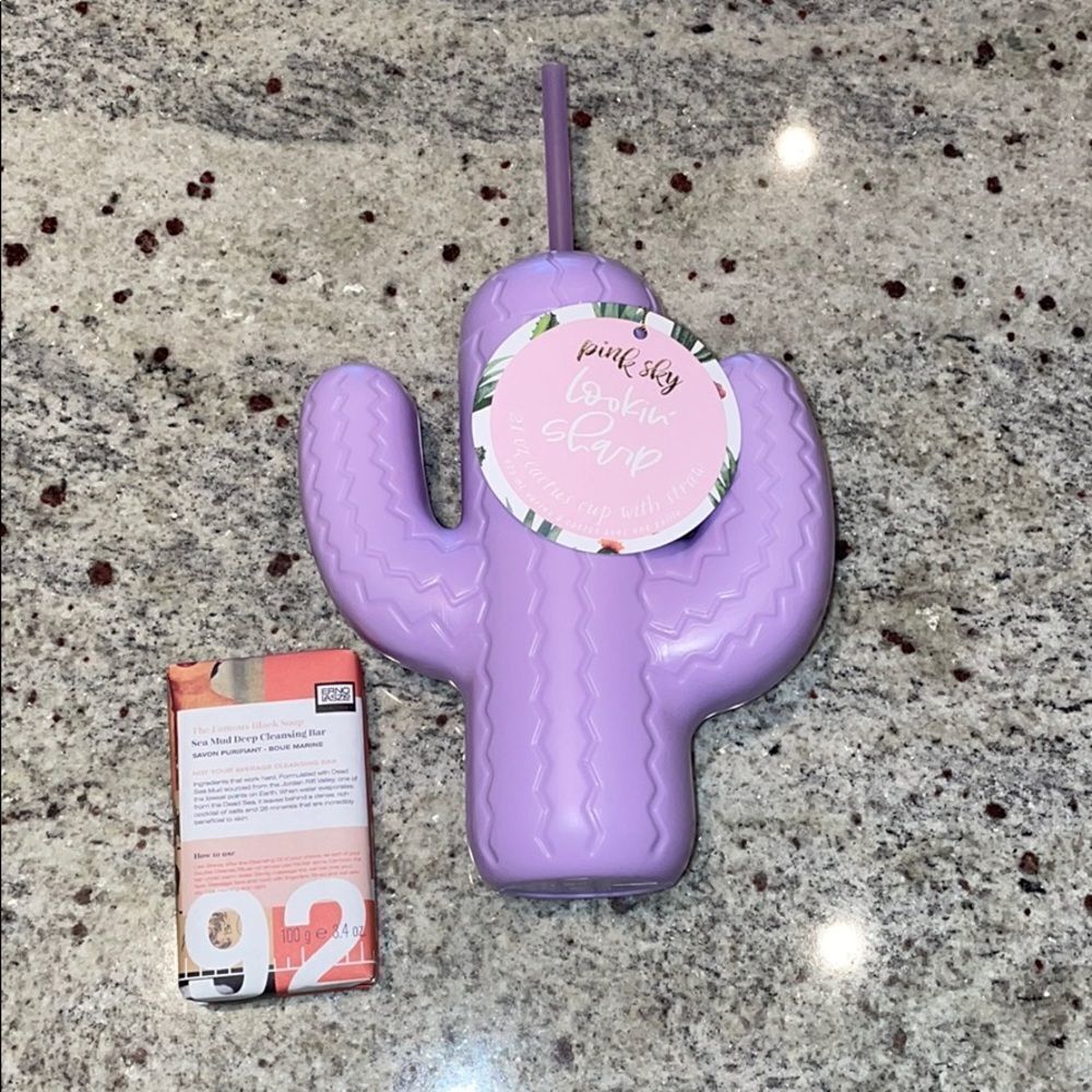 Pink sky Cactus plastic bottle/cup